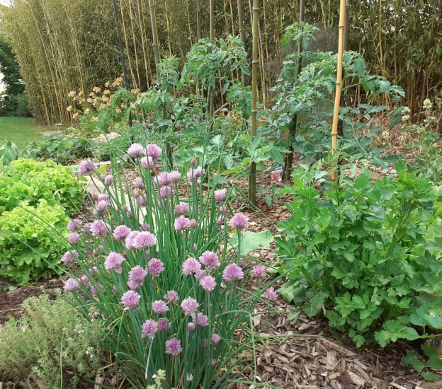 horticulture à Azay-le-Brûlé près de Saint-Maixent-L'Ecole dans les Deux-Sèvres 79