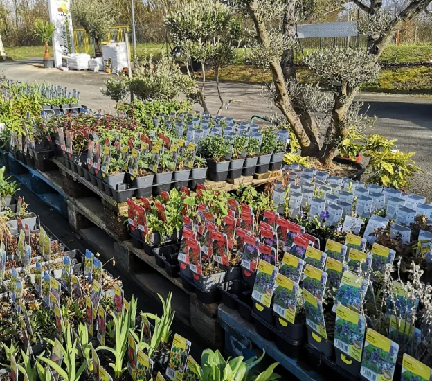 pépiniére à Azay-le-Brûlé près de Saint-Maixent-L'Ecole dans les Deux-Sèvres 79