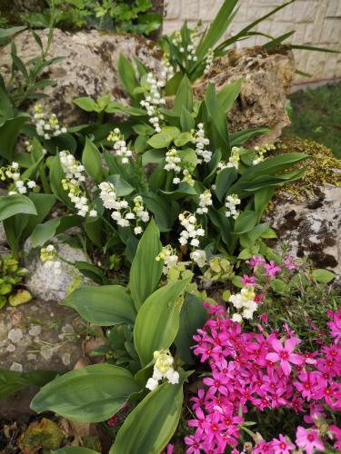 🌼 Jours fériés - mai 2026