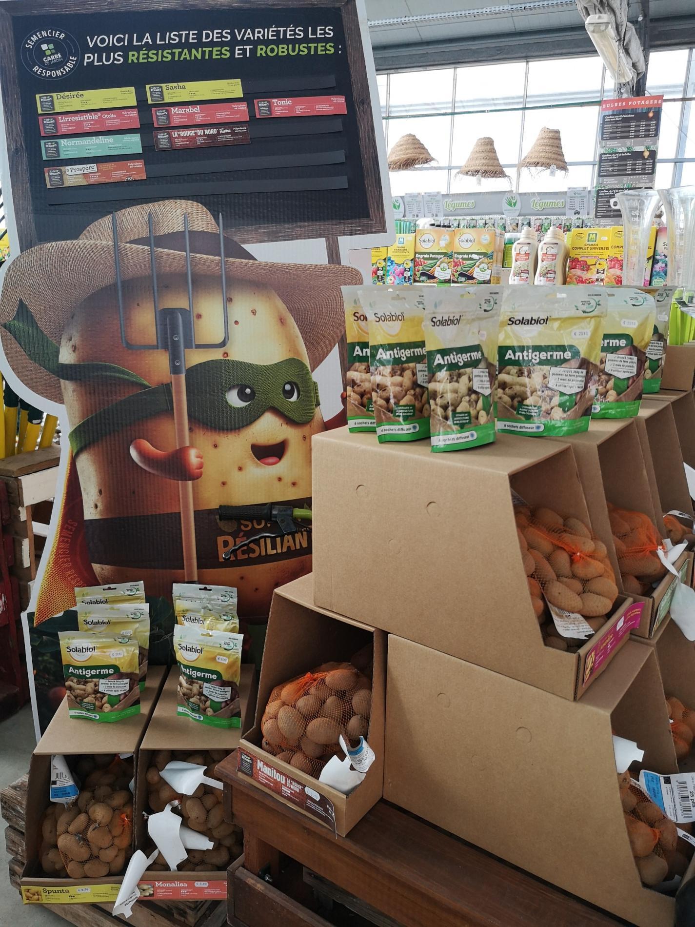 🧄 Semences & bulbes potagers