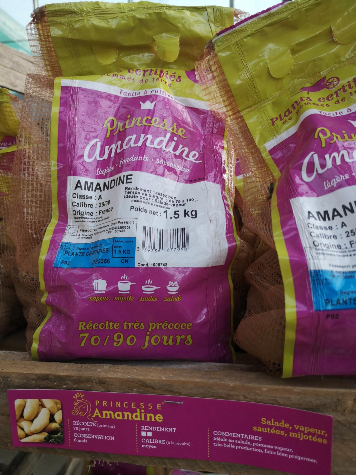 🧄 Semences & bulbes potagers