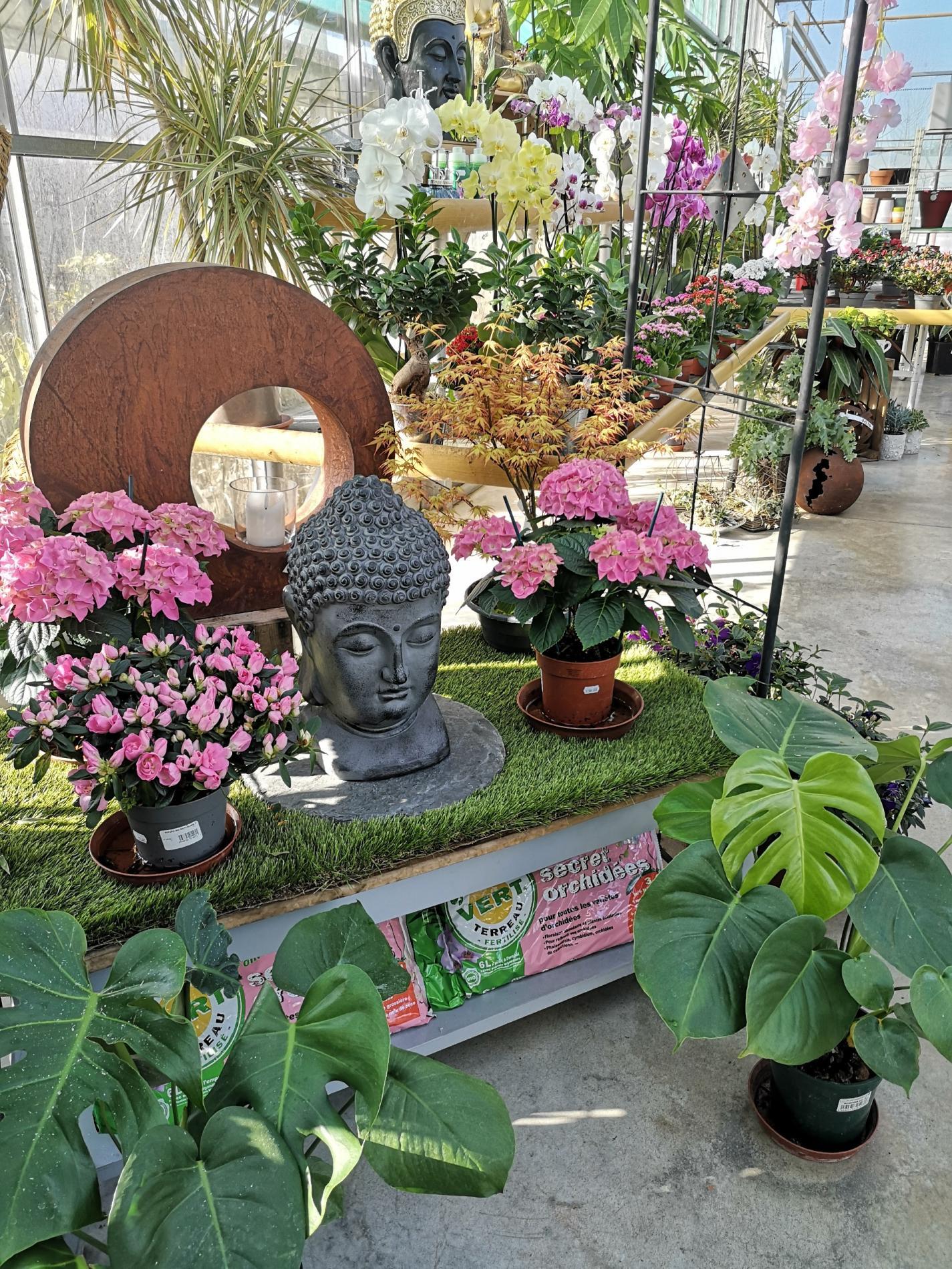 🪴 Plantes d'intérieur