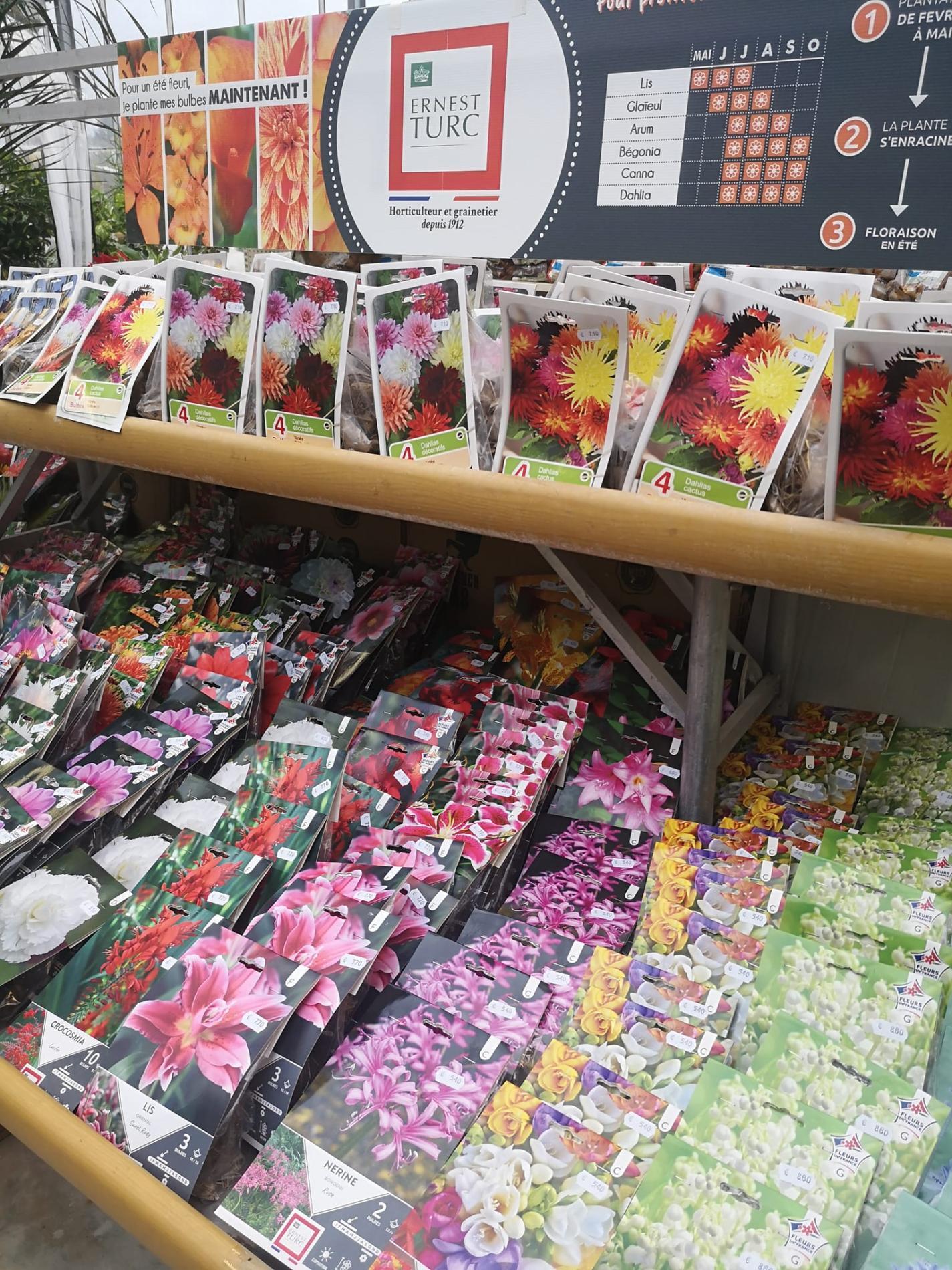 🌷 Bulbes & graines de fleurs