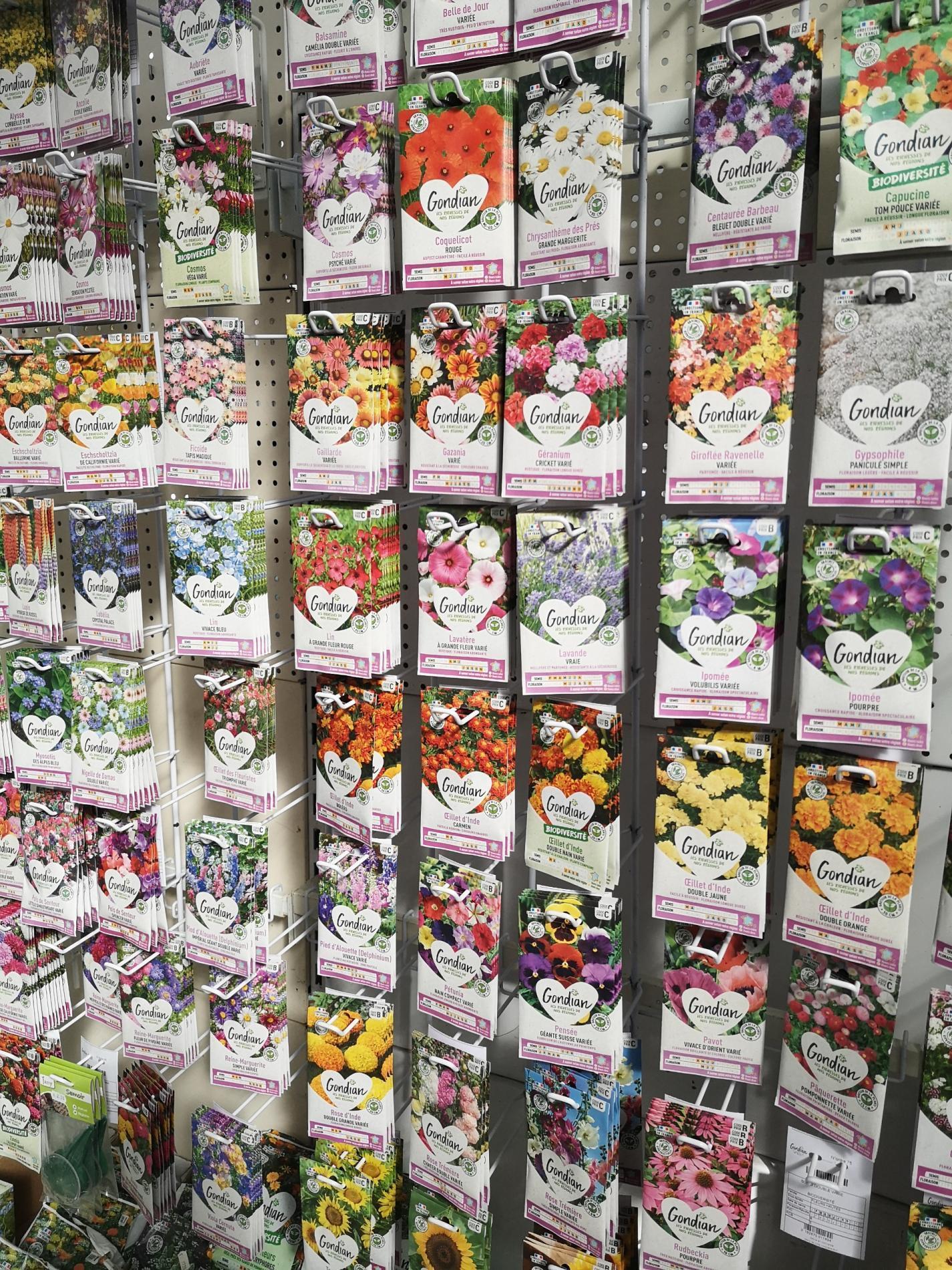 🌷 Bulbes & graines de fleurs