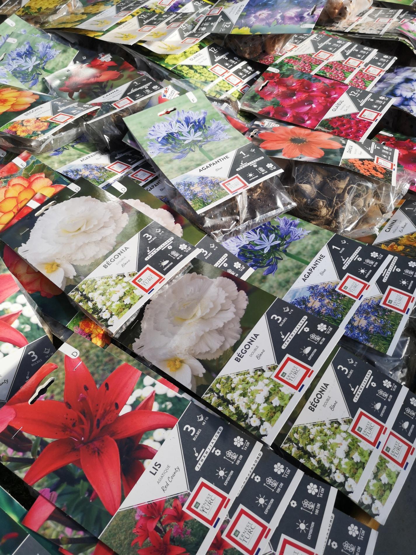 🌷 Bulbes & graines de fleurs