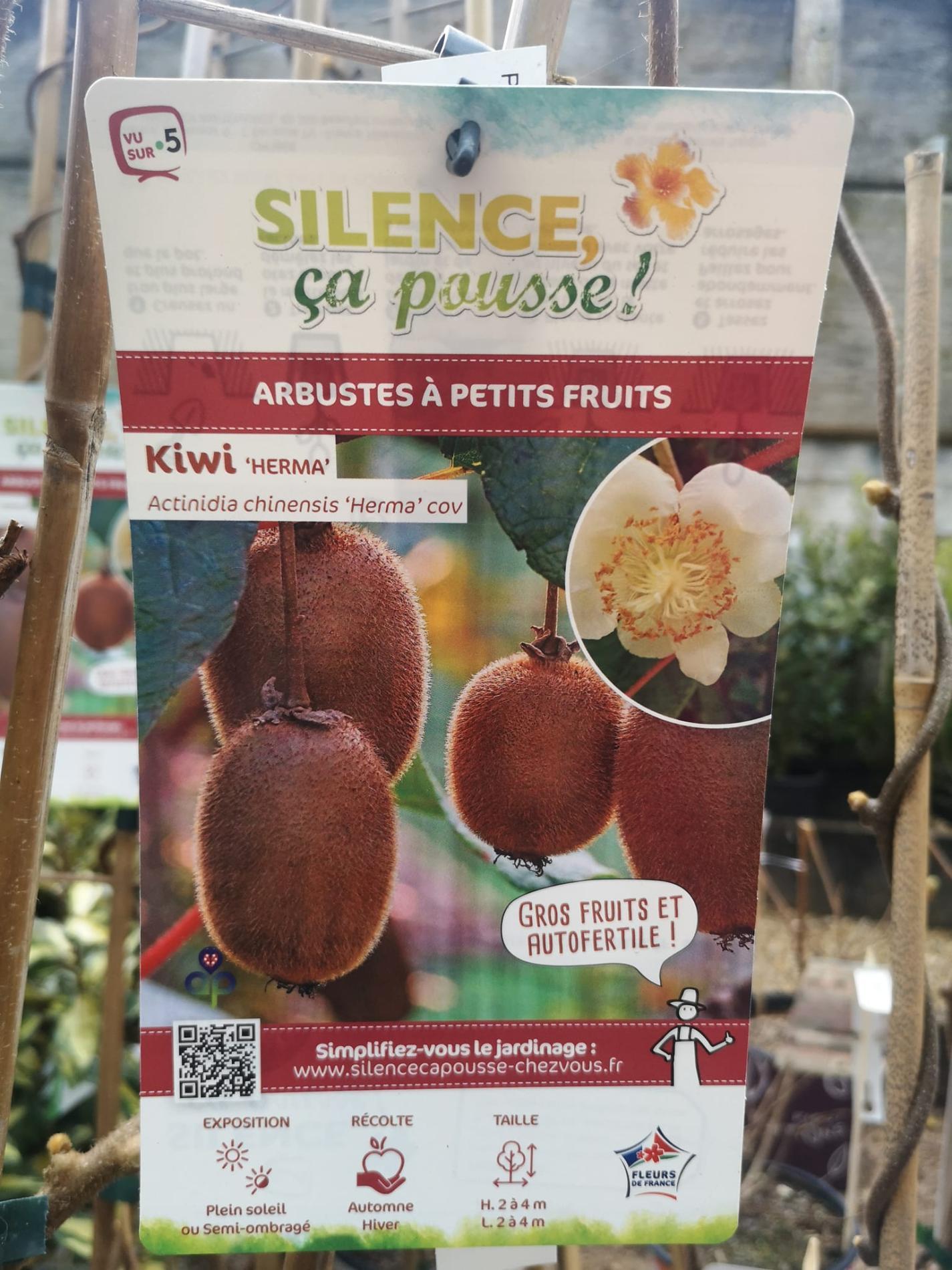 🍐 Arbres & arbustes fruitiers